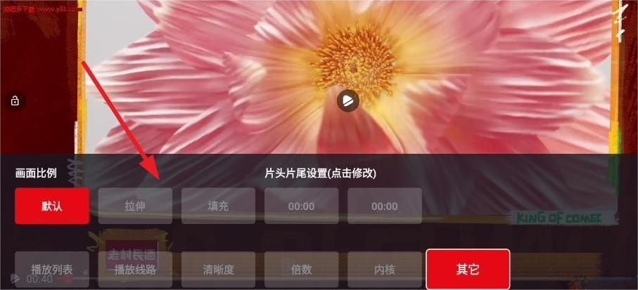 网飞猫tv版
