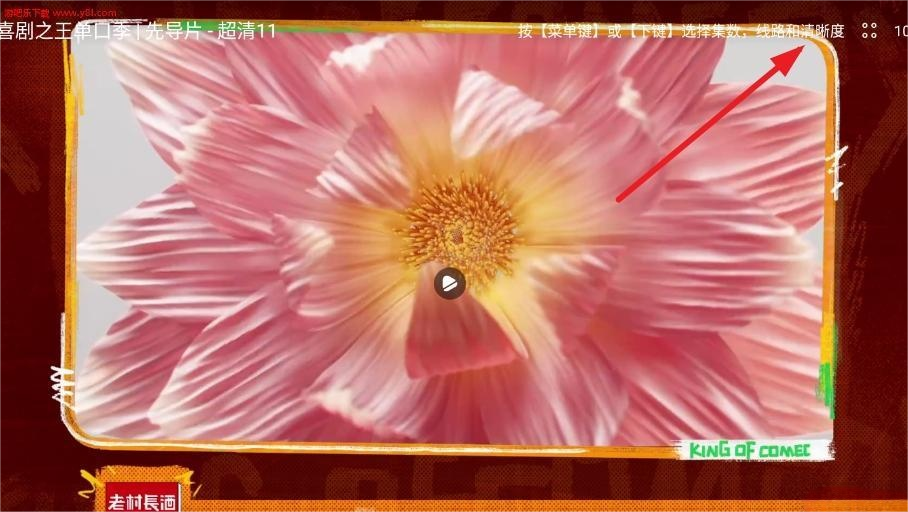 网飞猫tv版