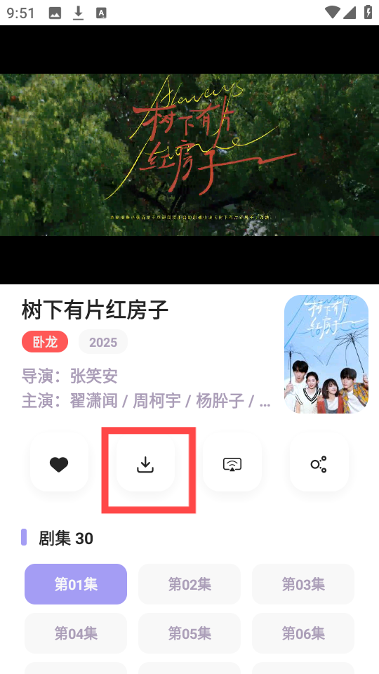 飞语影视