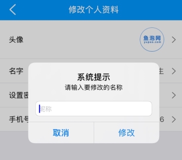 鱼泡网官方正版