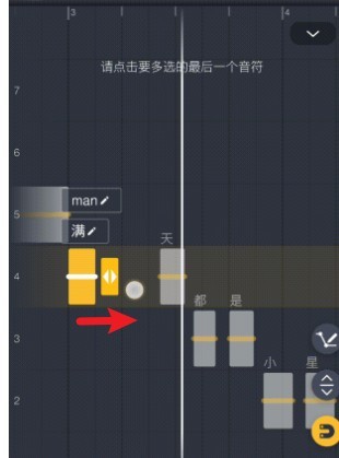 pocket singer