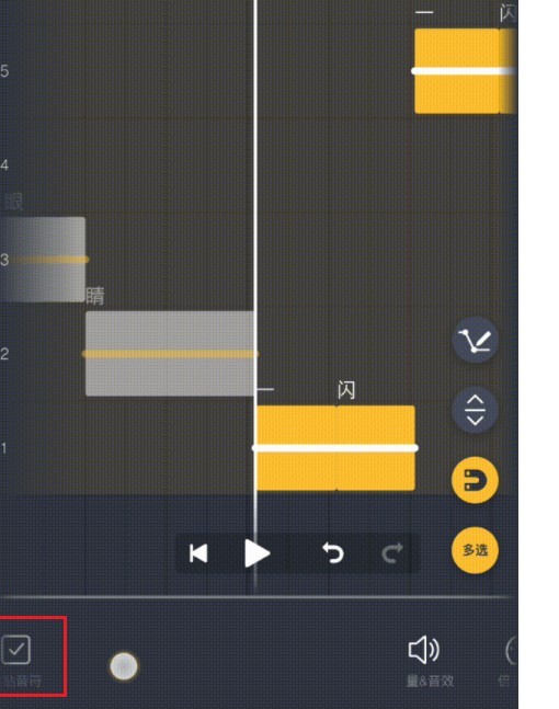 pocket singer