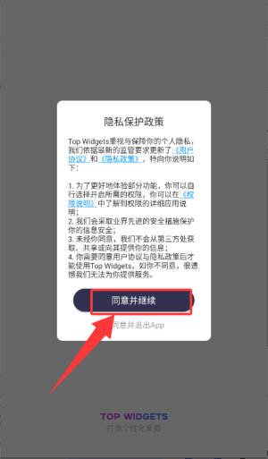 topwidgets官方版