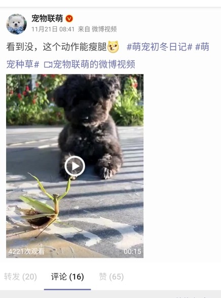 share微博