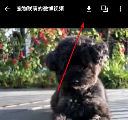 share微博