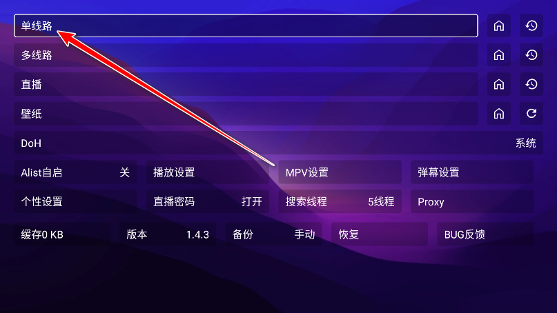 521影视最新配置接口版本