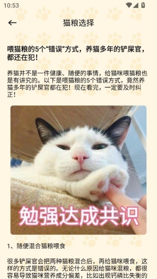 治愈小猫咪游戏