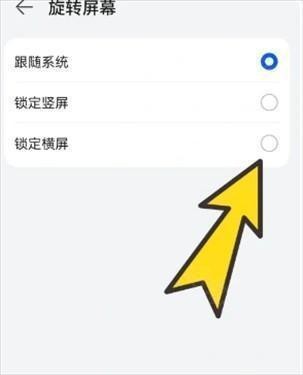 波波浏览器极速版