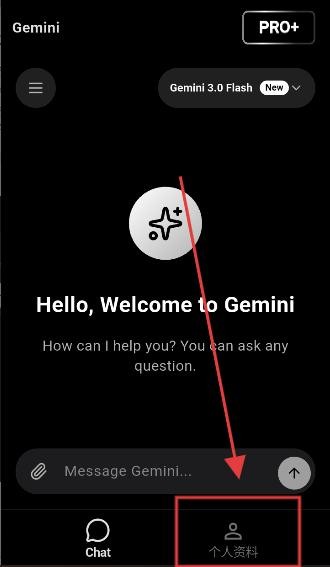 gemini 2.5 pro