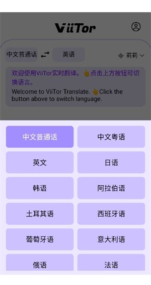 viitor实时翻译