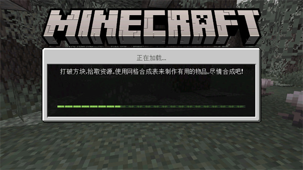 我的世界1.21国际版