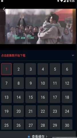 狮子影评(老版本)