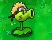 植物大战僵尸火影版(菜单版)