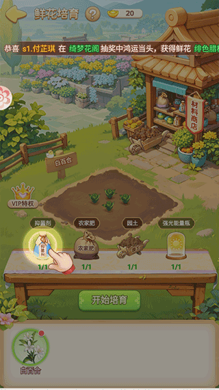 我的花园世界安卓版