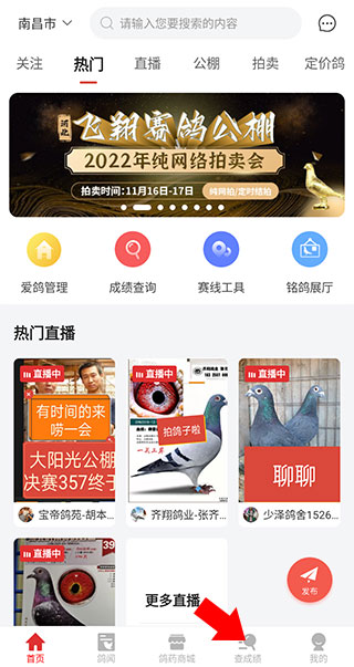 搜鸽天下app