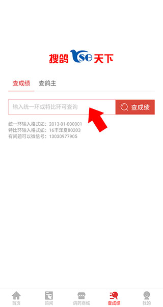 搜鸽天下app