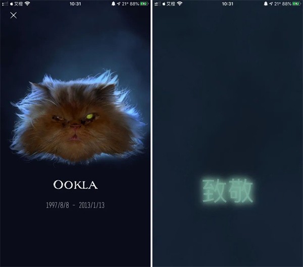 ookla speedtest中文版