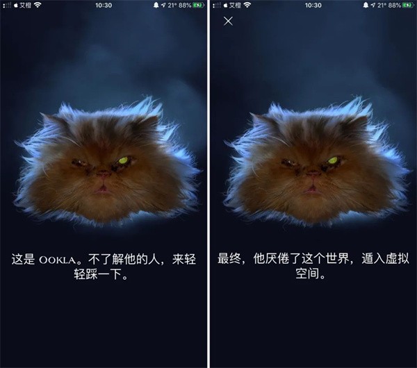 ookla speedtest中文版