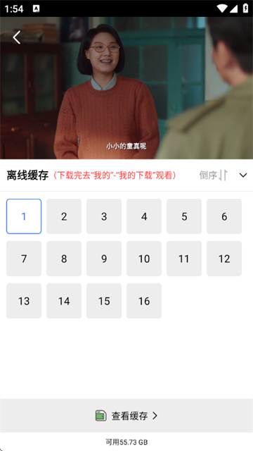 闪电视频纯净版