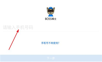 boss骑士