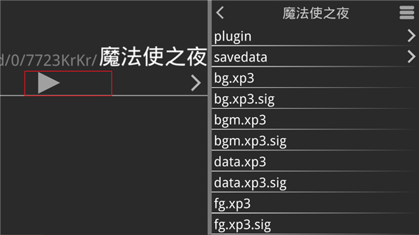 魔法使之夜