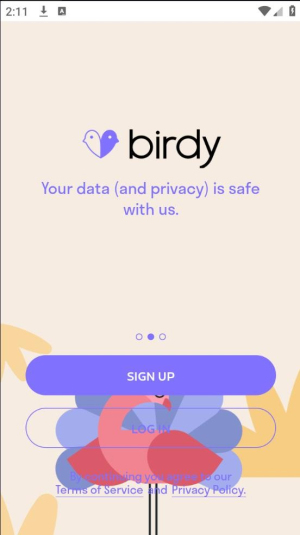 birdy软件