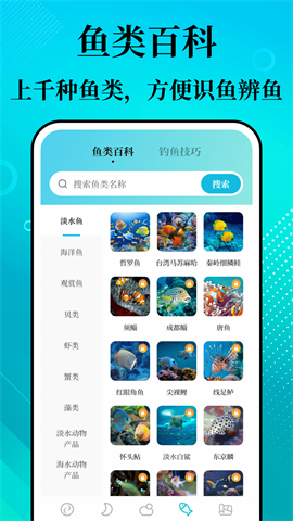 潮汐精灵官网版