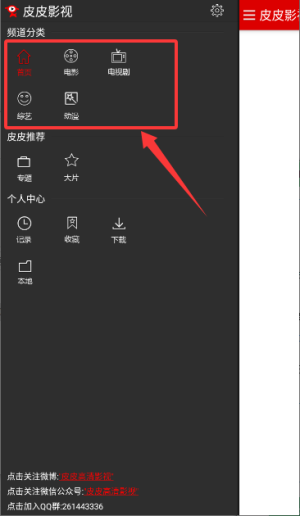 皮皮影视app