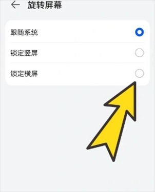 BOBO浏览器(海外版)