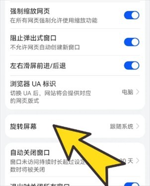 BOBO浏览器(海外版)