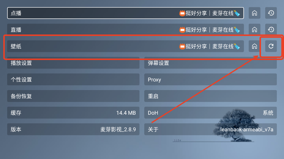 麦芽影视