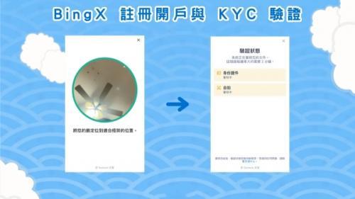 bingx交易所鲨鱼鳍