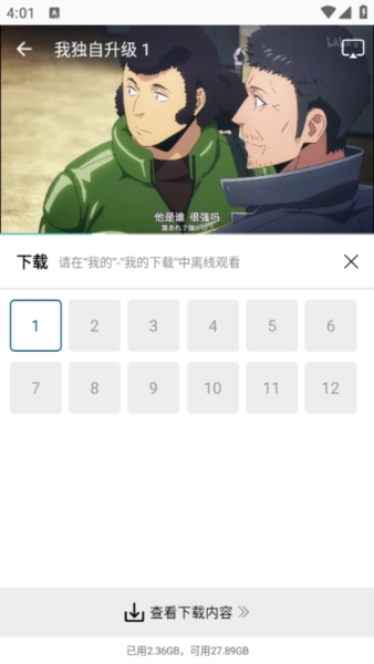 雪豹视频2026去广告