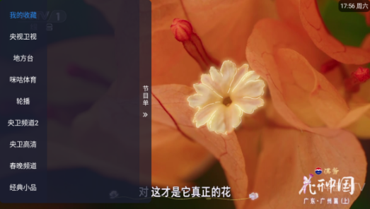 涛涛tv电视直播最新版本
