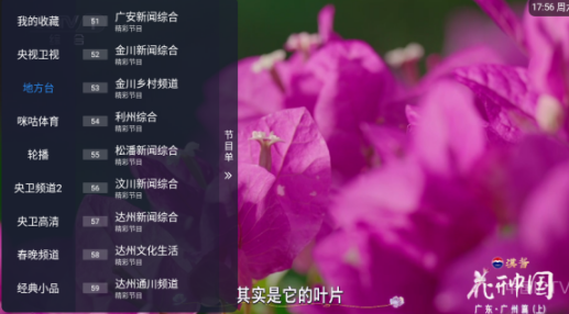 涛涛tv电视直播最新版本