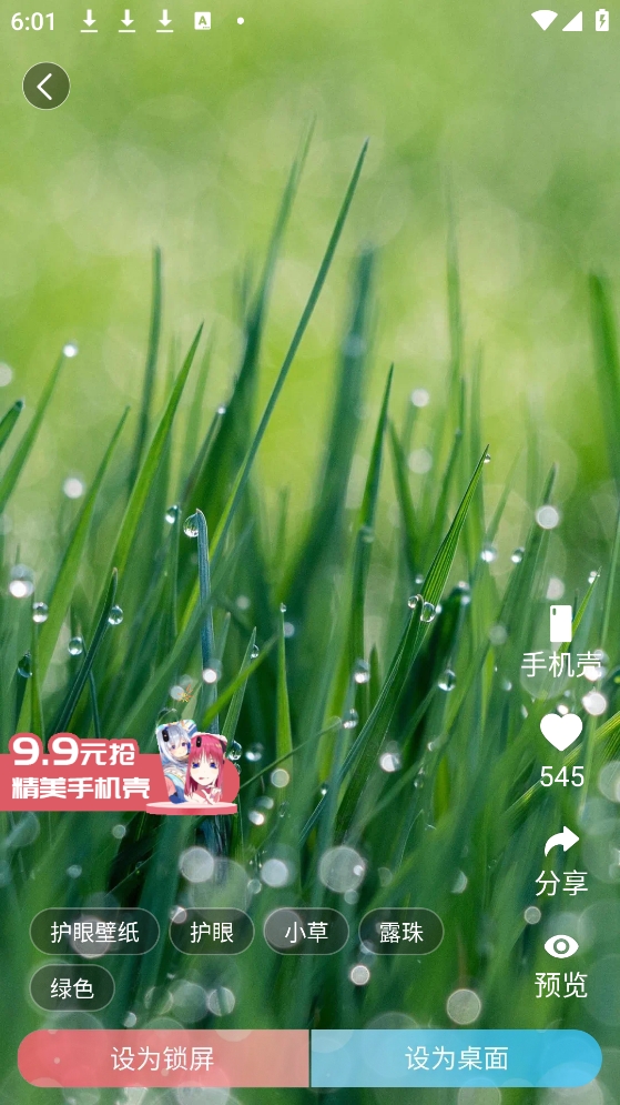 小鸟壁纸app安卓版