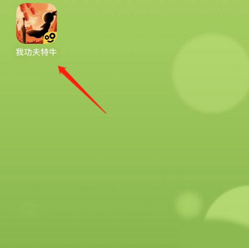 我功夫特牛(破解版)