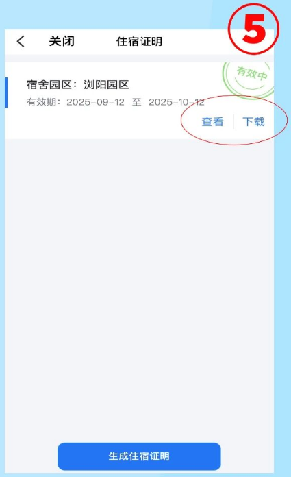 飞鸽互联2026年最新版本