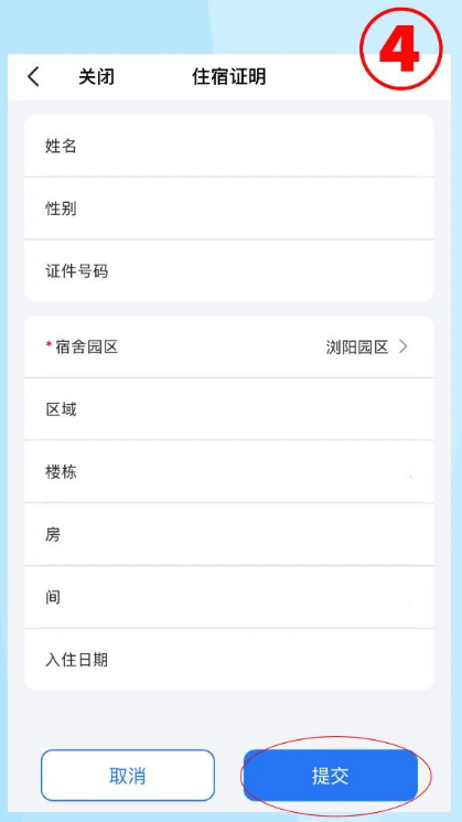飞鸽互联2026年最新版本