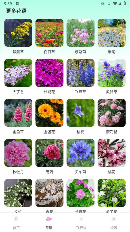 樱桃IMapp