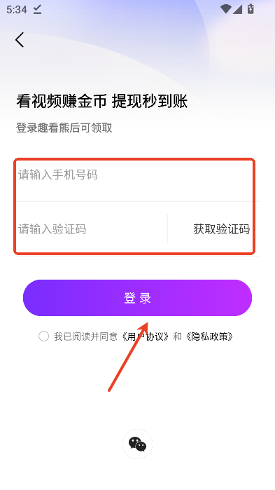 趣看熊