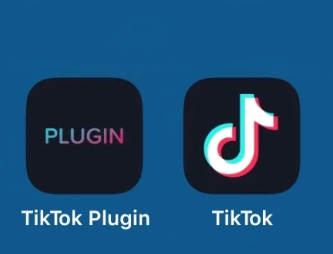 抖音海外版TikTok