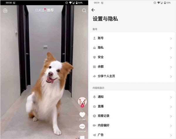 抖音海外版TikTok