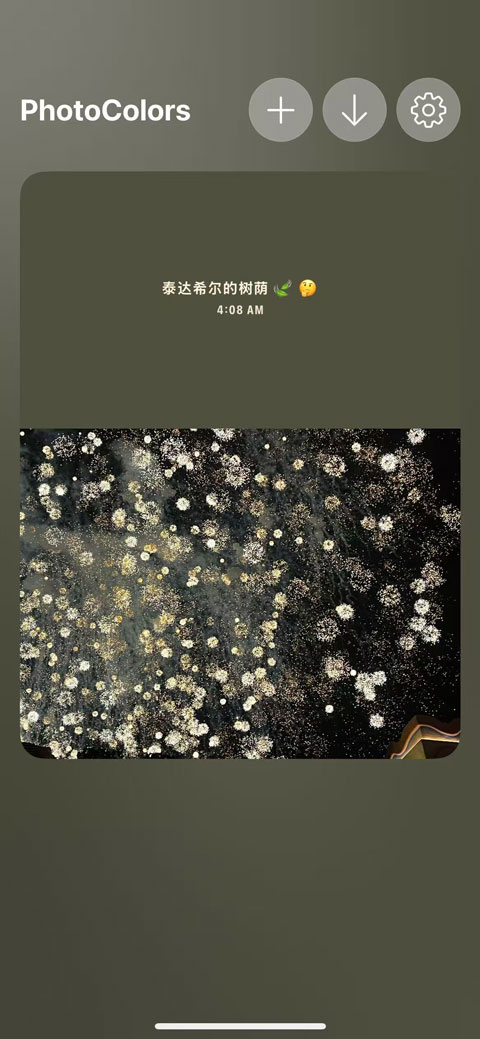 photocolors多彩照片