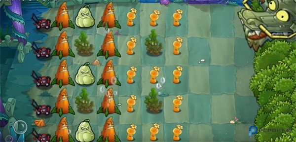 PVZ精华版