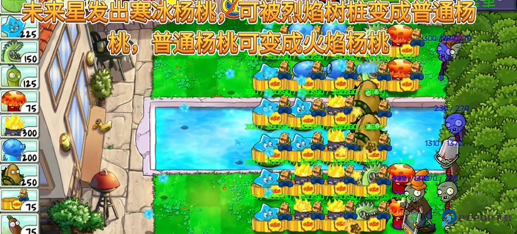 PVZ精华版