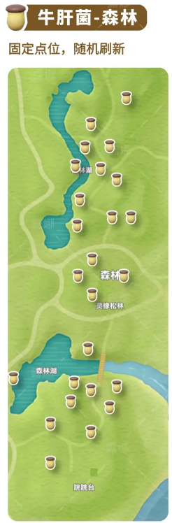 心动小镇全蘑菇收集点位介绍