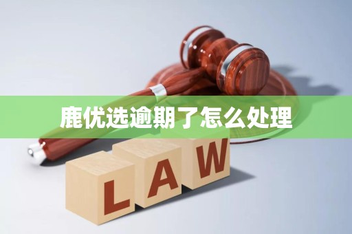 鹿优选借款app