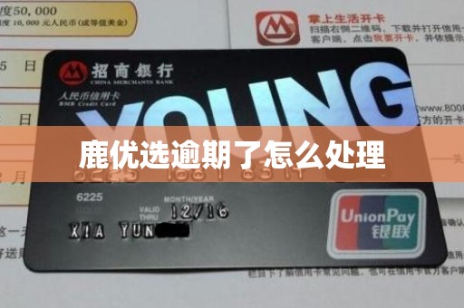 鹿优选借款app