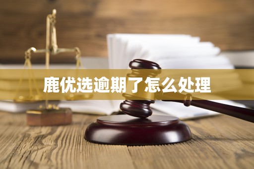 鹿优选借款app